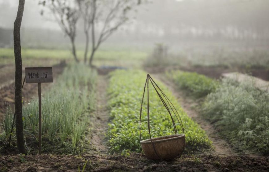 Alba Wellness Valley by Fusion – Huế