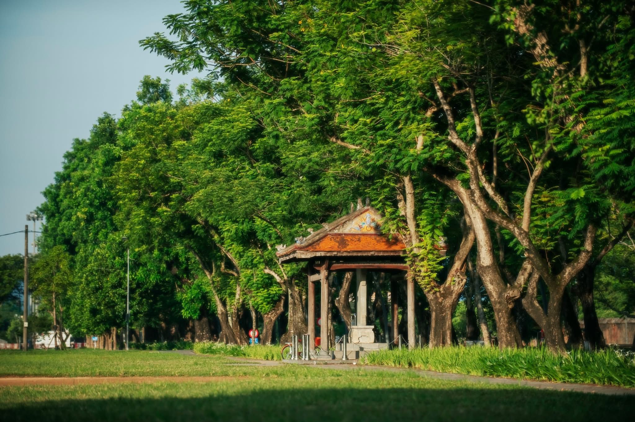 Cảnh quan của một con đường ở Huế với hàng cây xanh mát và một nhà chòi cổ kính.