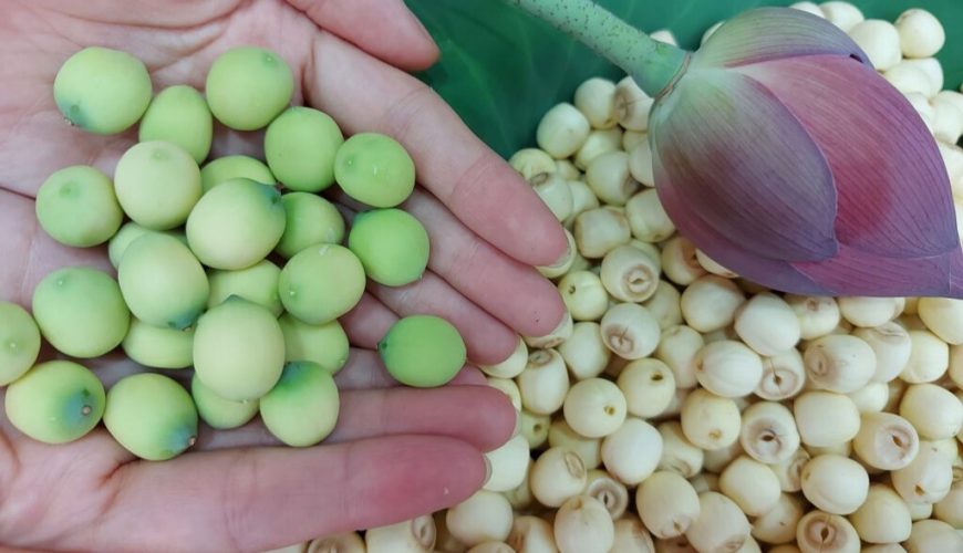 Sen Huế: Tinh Hoa Văn Hóa và Ẩm Thực Cung Đình Cố Đô