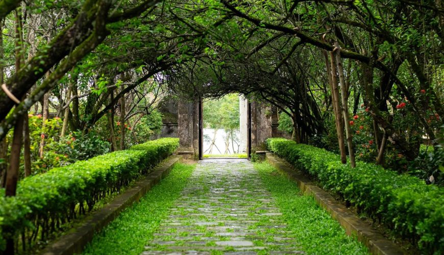 Nhà vườn An Hiên – Ký ức Huế giữa miền xanh tĩnh tại