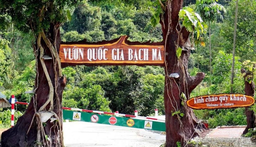 Vườn Quốc Gia Bạch Mã Huế Nơi Thiên Nhiên Hùng Vĩ Khiến Ai Cũng Muốn Đi Một Lần