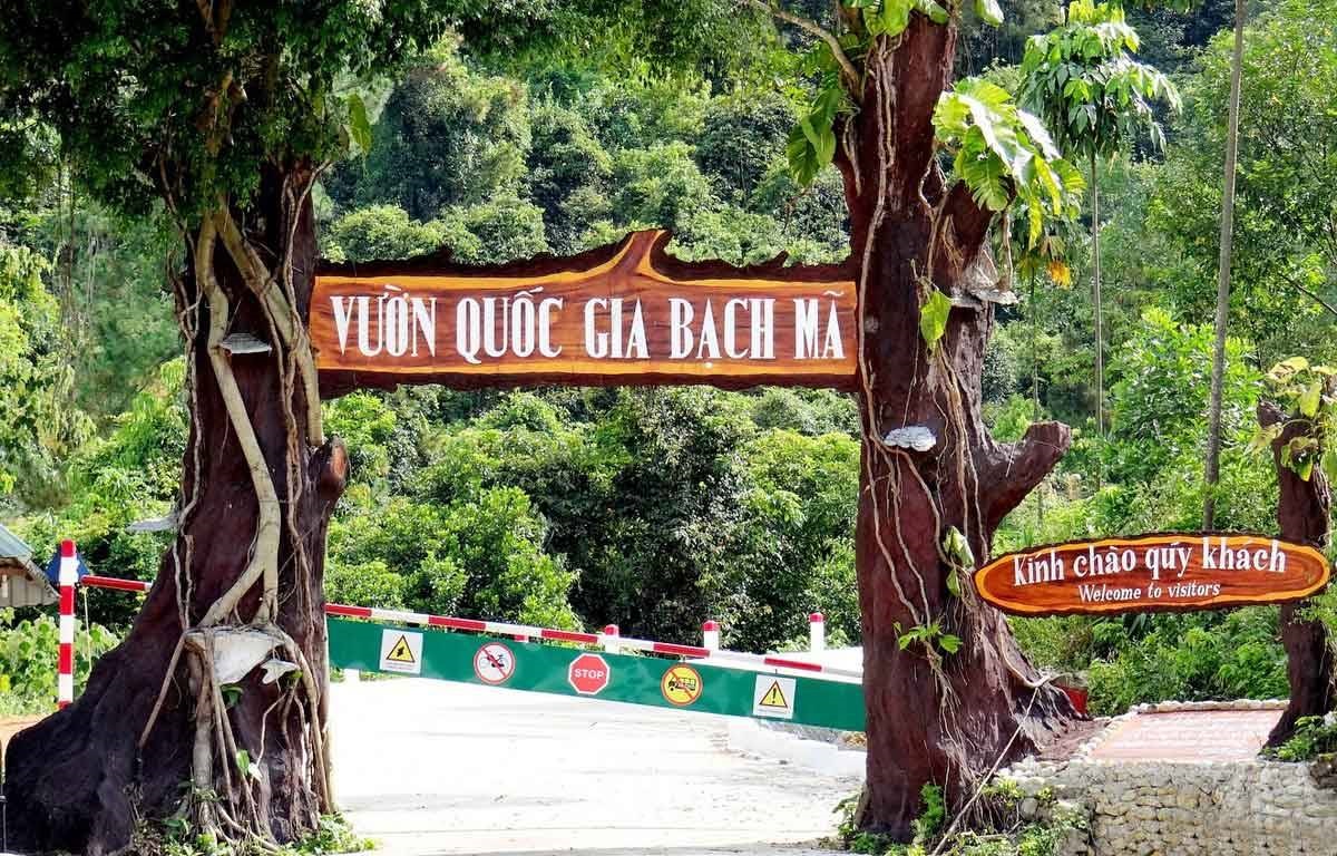 Vườn Quốc Gia Bạch Mã Huế Nơi Thiên Nhiên Hùng Vĩ Khiến Ai Cũng Muốn Đi Một Lần