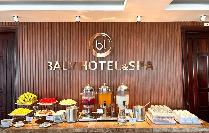 BALY HOTEL AND SPA