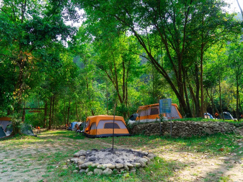 GLAMPING